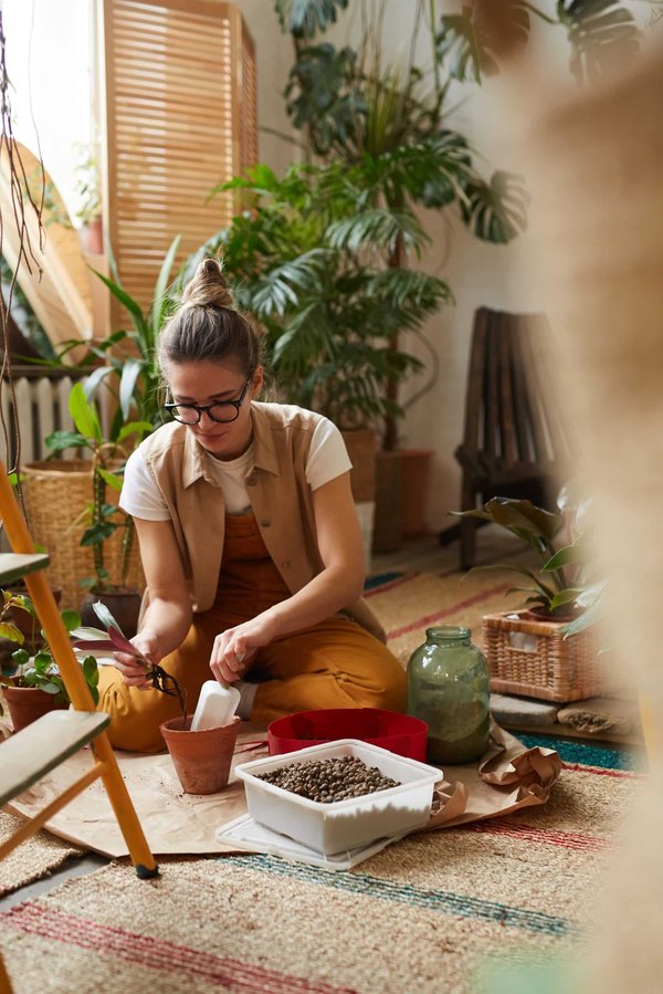 Les meilleures plantes pour un jardin vertical ombragé ?