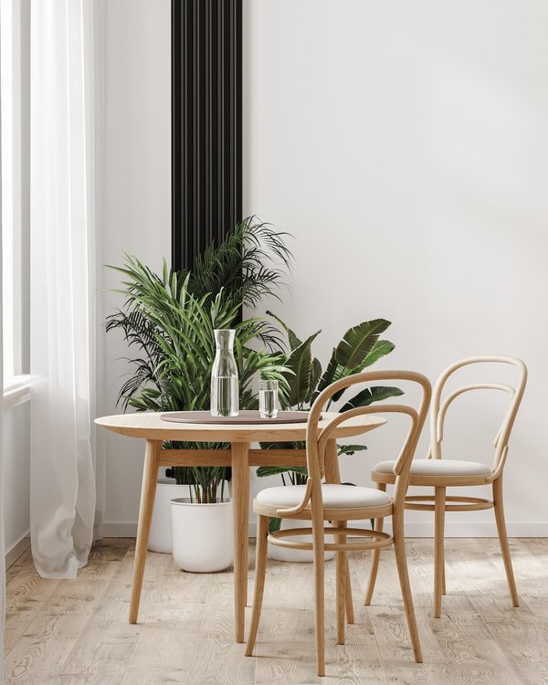 Pourquoi opter pour une chaise de salle à manger en bois ?