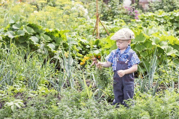 Conseils pratiques : comment débuter en permaculture Genève ?